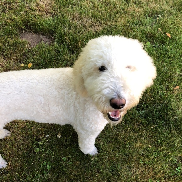 Help  my Mom pay for my broken leg! - Picture 11 of 13